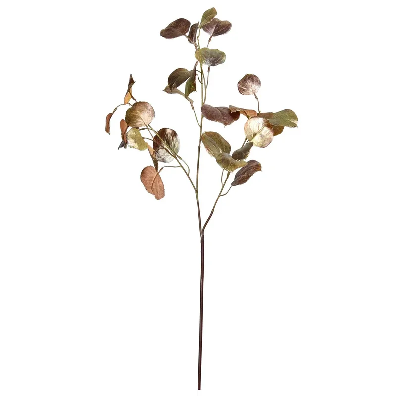 2026_05_21_402243