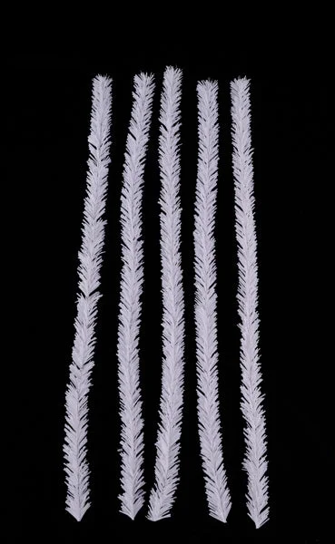 2026_05_22_441730
