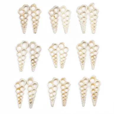 cherrytreebeads20260522010229444486