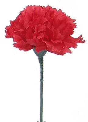 floradec20260521152542385948