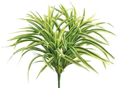 floradec20260521155420390345