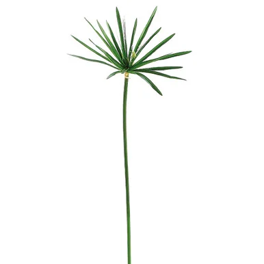 floradec20260521155655390770