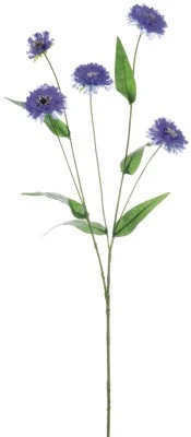 floradec20260521155833391014