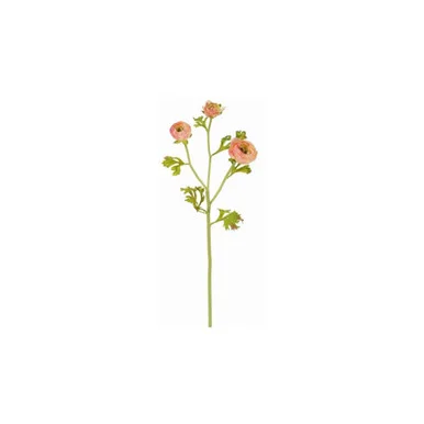 floradec20260521160947392536
