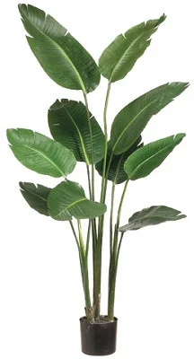 floradec20260521161007392585