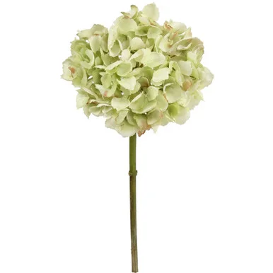 floradec20260521161018392609