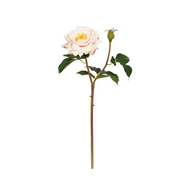 floradec20260521162302394335