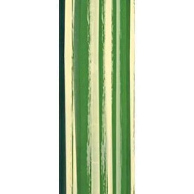 floradec20260521164241397684
