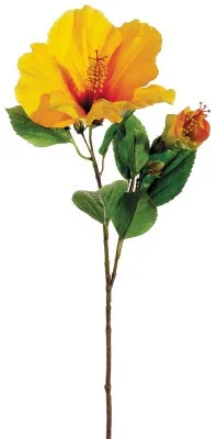 floradec20260521164356397881