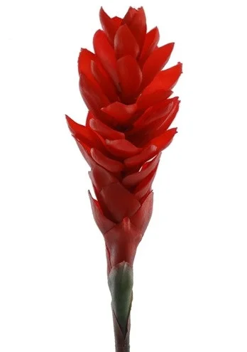 floradec20260521165850400004