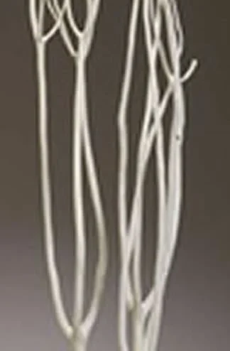 floradec20260521170906401402