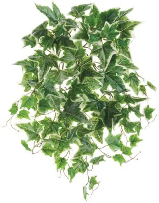 floradec20260521172011403008