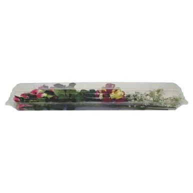 floradec20260521173407404930