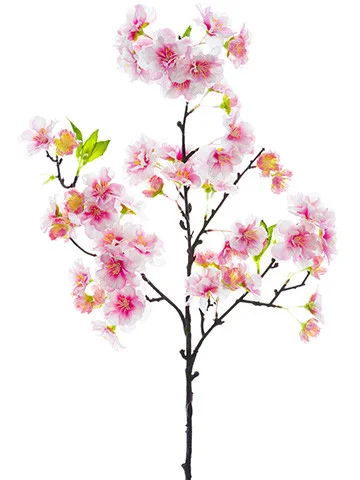 floradec20260521175118407523