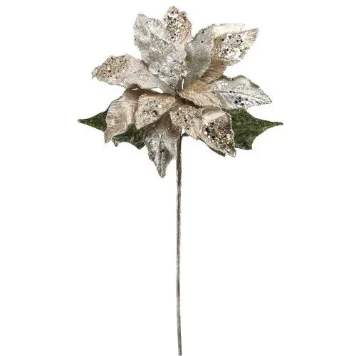 holiday-whimsy20260521164154397576