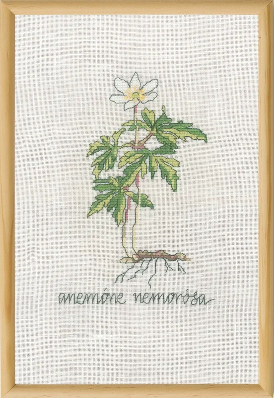 lindehobby20260521164347397855